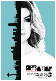 //assets.deltapictures.it/images/Pctv/locandine/serie-tv/trailers/TRgreysanatomy13.jpg