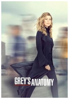 //assets.deltapictures.it/images/Pctv/locandine/serie-tv/trailers/TRgreysanatomy16.jpg